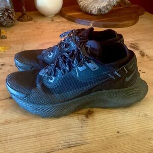 Nike Trail Pegasus GTX